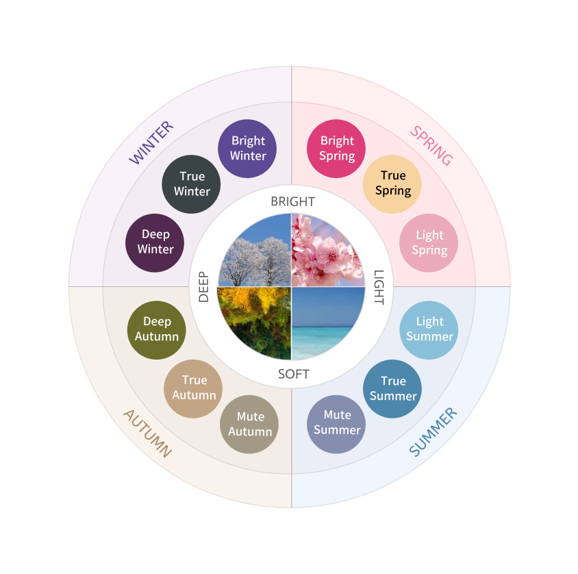 12 Personal Color Types Diagnosis