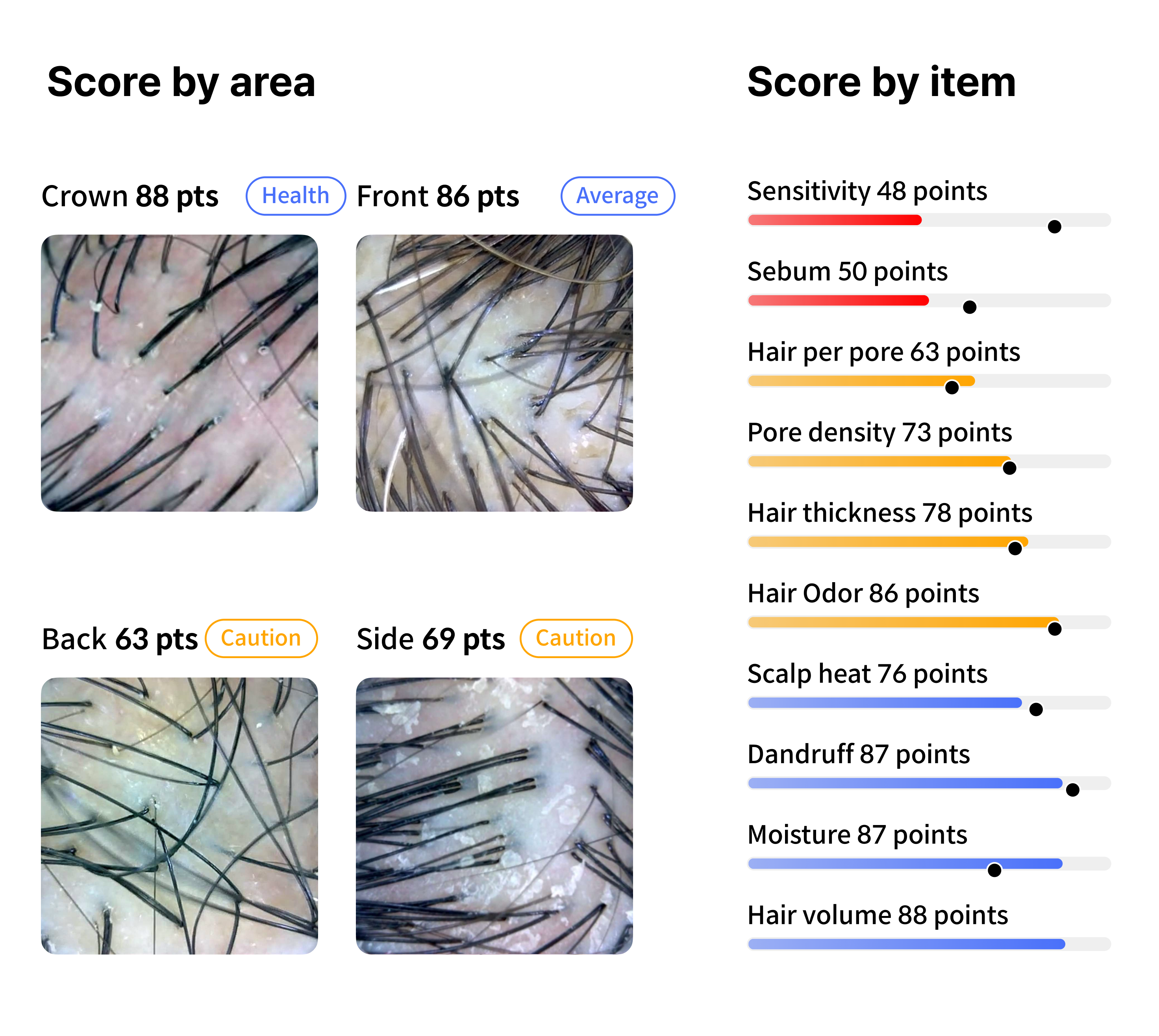 Comprehensive 12-Item Score Analysis
