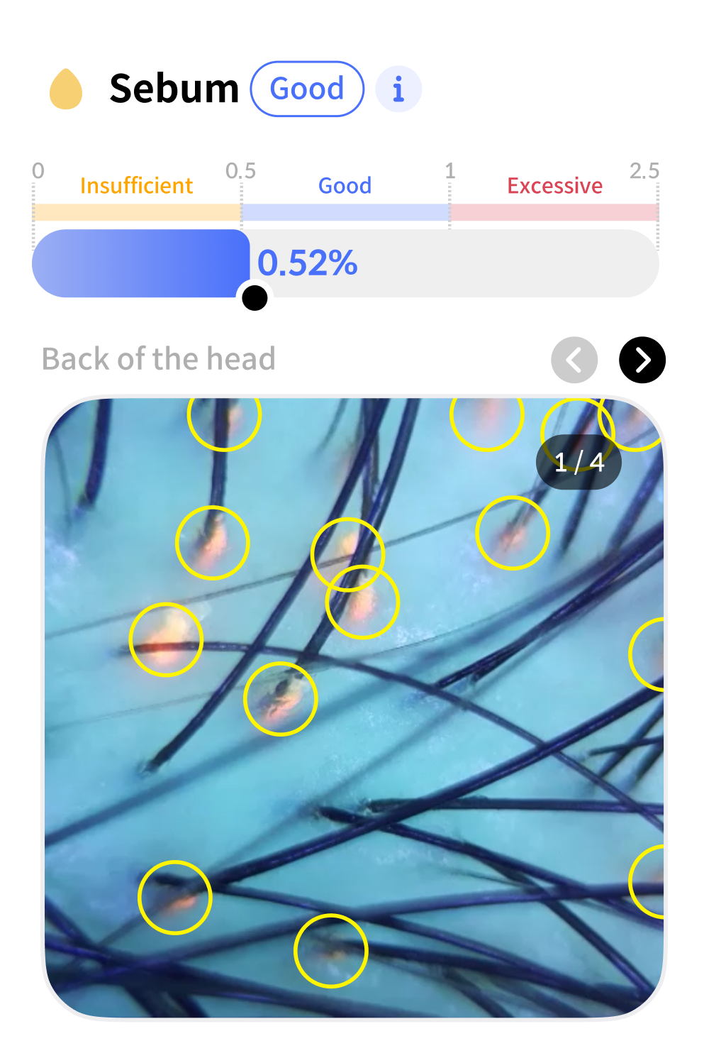 Scanner analysis data 2