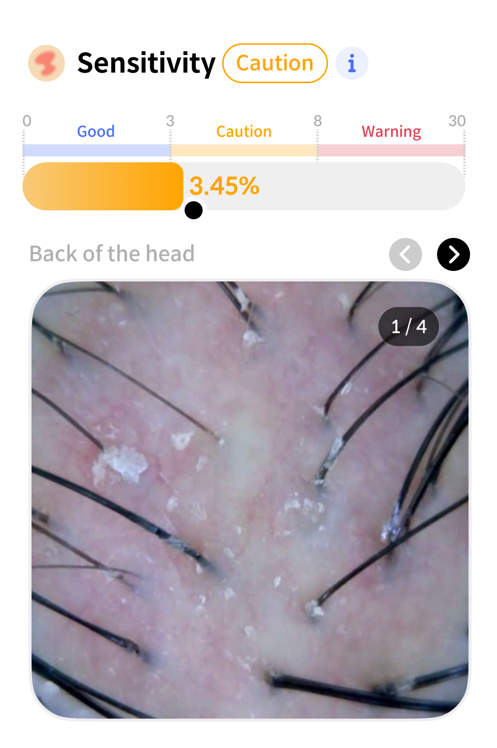 Scanner analysis data 4
